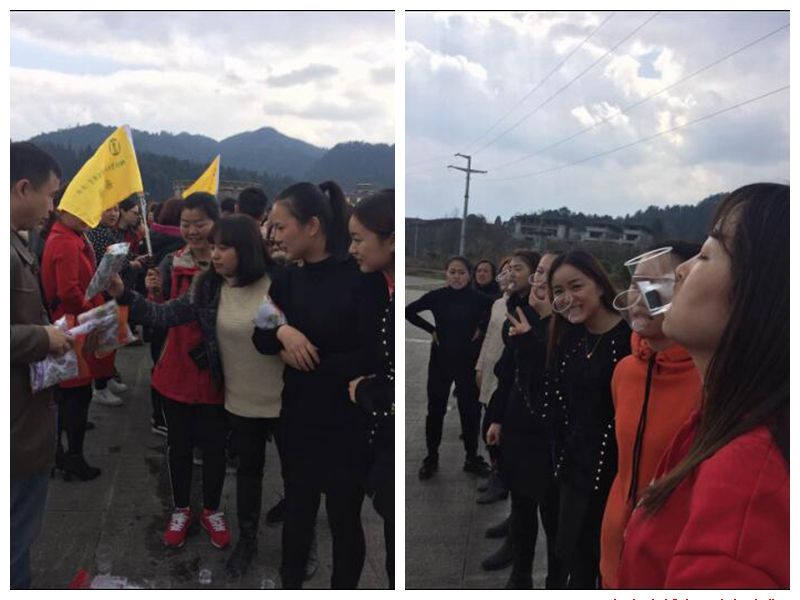 2017年庆三·八运动