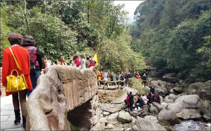 2017年庆三·八运动