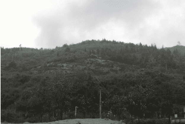 市城投集团公司领导到谢桥供水工程进行现场指导