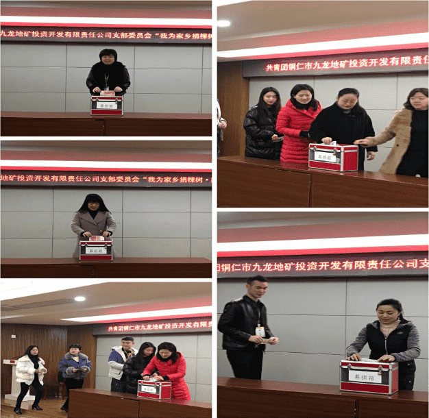 铜仁城投集团九龙地矿投资开发公司 组织开展“我为家乡捐棵树•同心共建春晖林”募捐活动