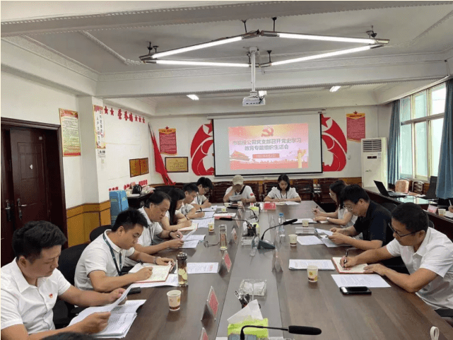 铜仁城投集团能源投资公司党支部召开党史学习教育专题组织生活会