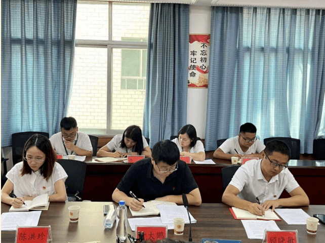 铜仁城投集团能源投资公司党支部召开党史学习教育专题组织生活会