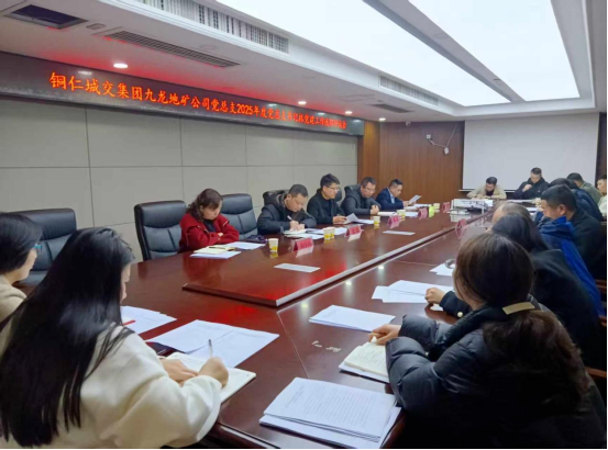 铜仁城交集团九龙公司党总支召开2025年度党组织书记抓党建工作述职评议会议