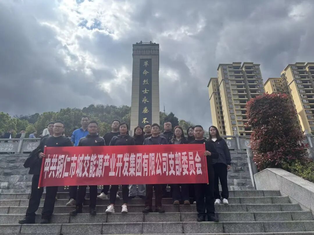 铜仁城交集团各基层党组织开展主题党日活动