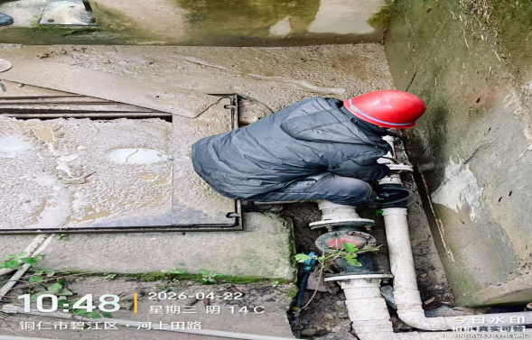 确保汛期安全 党员冲锋在前 铜仁城交治污人在行动
